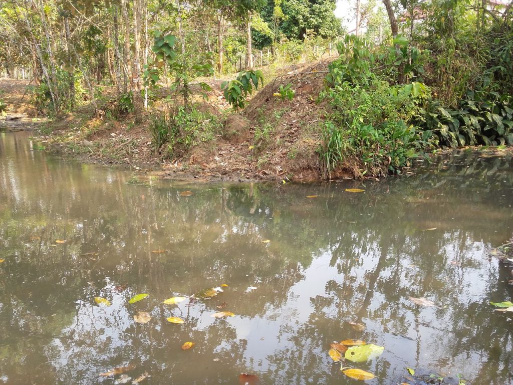 tortuguero nicaragua